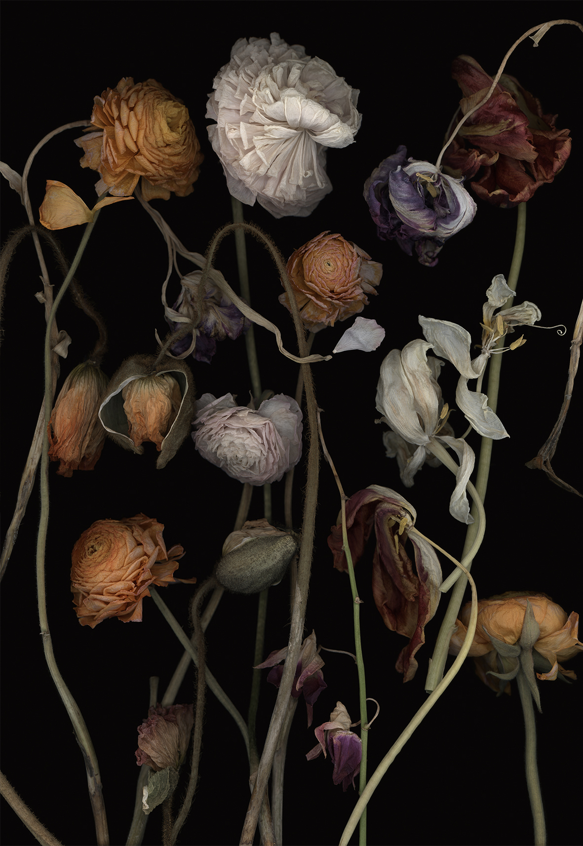 Luzia Simons, Stockage 182, 2019
Lightjet Print on Aludibond
177 x 122 cm
Edition of 5 + 1 AP