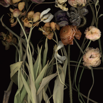 Luzia Simons, Stockage 183, 2019