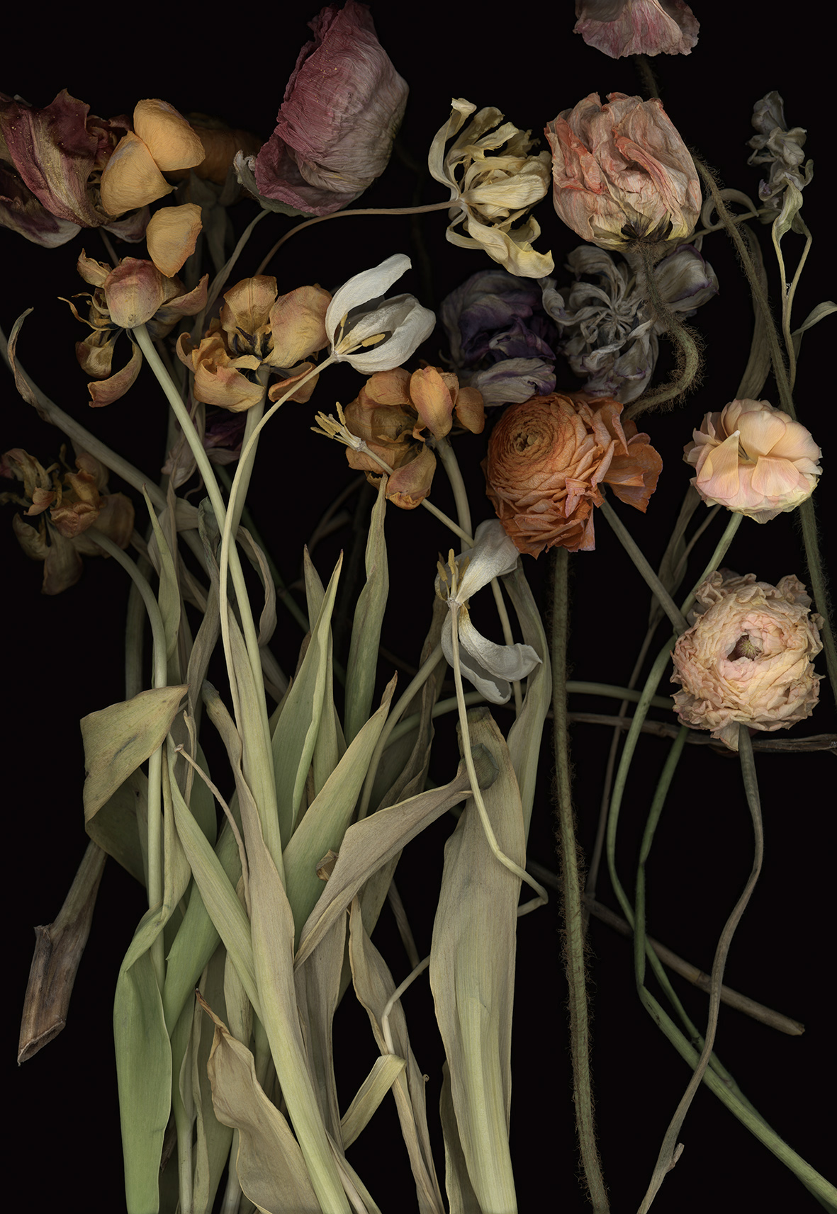 Luzia Simons, Stockage 183, 2019
Lightjet Print on Aludibond
177 x 122 cm
Edition of 5 + 1 AP