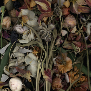 Luzia Simons, Stockage 184, 2019