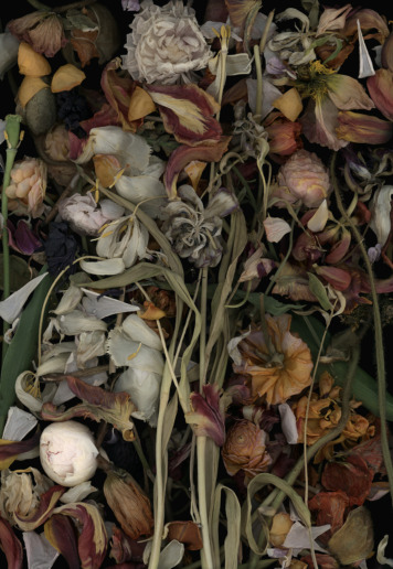 Luzia Simons, Stockage 184, 2019
Lightjet Print on Aludibond
177 x 122 cm
Edition of 5 + 1 AP
