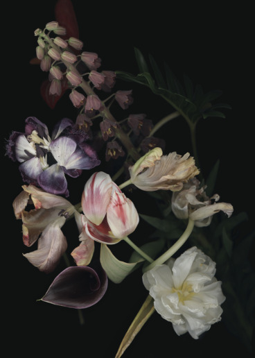 Luzia Simons
Stockage 192, 2021
lightjet print on diasec
70 x 50 cm
Edition of 15 + 1 AP