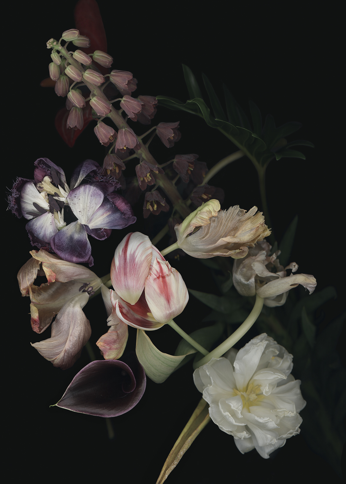Luzia Simons
Stockage 192, 2021
lightjet print on diasec
70 x 50 cm
Edition of 15 + 1 AP
