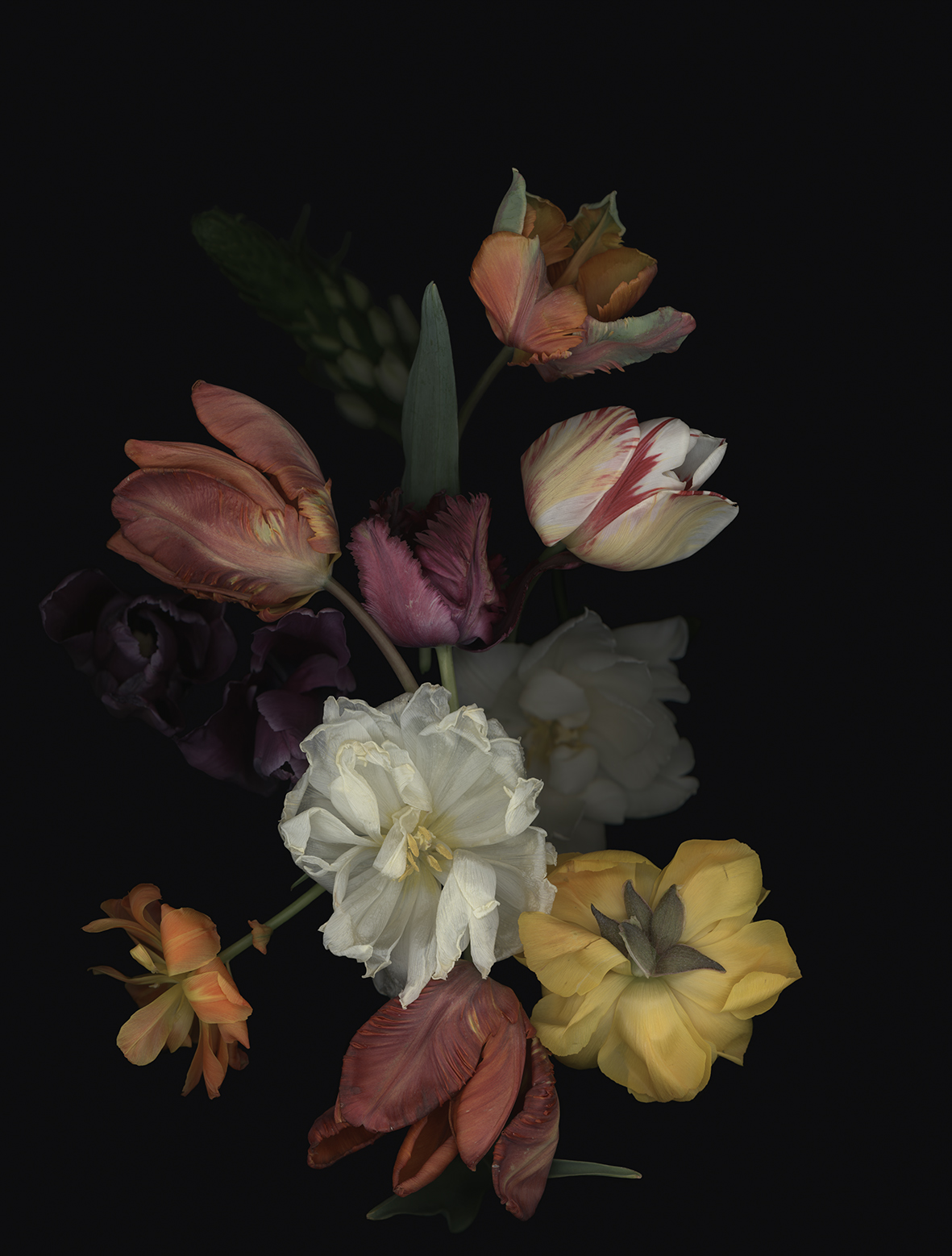 Luzia Simons, Stockage 193, 2021
Lighjet Print on Diasec
70 x 50 cm
Edition of 15 + 1 AP