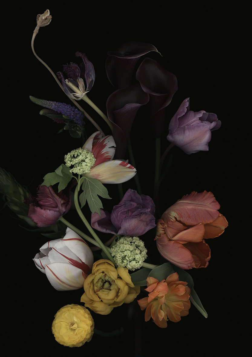 Luzia Simons, Stockage 194, 2021
Lighjet Print on Diasec
70 x 50 cm
Edition of 15 + 1 AP