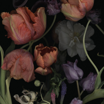 Luzia Simons, Stockage 195, 2021