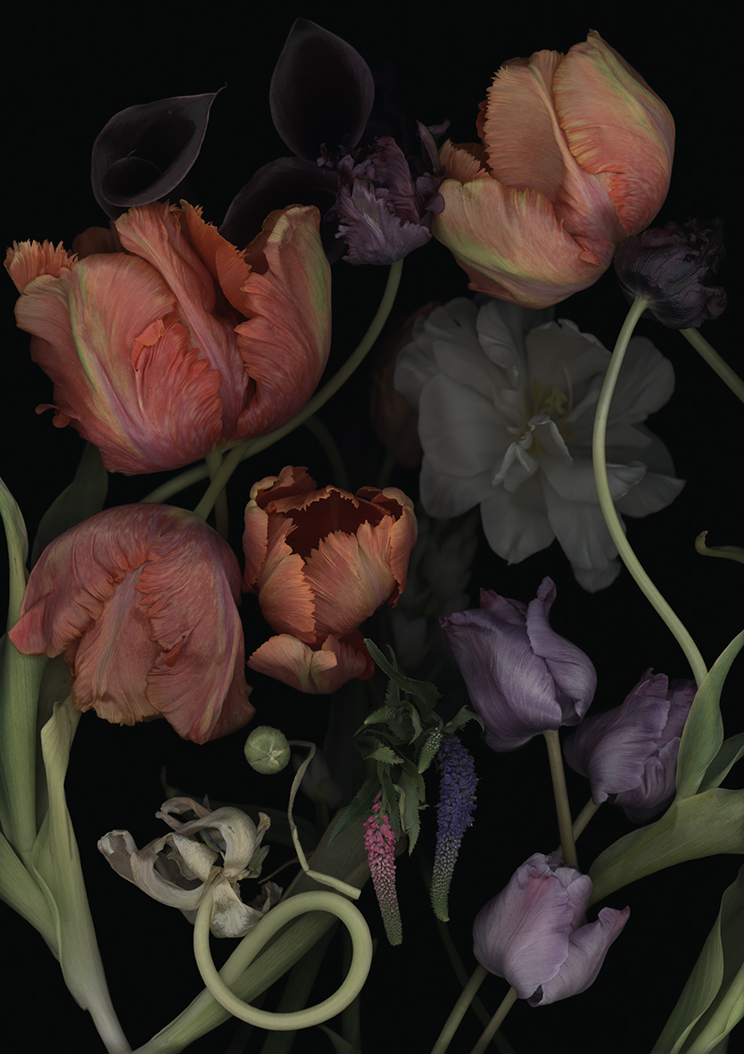 Luzia Simons, Stockage 195, 2021
Lighjet Print on Diasec
70 x 50 cm
Edition of 15 + 1 AP 