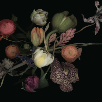 Luzia Simons, Stockage 196, 2022