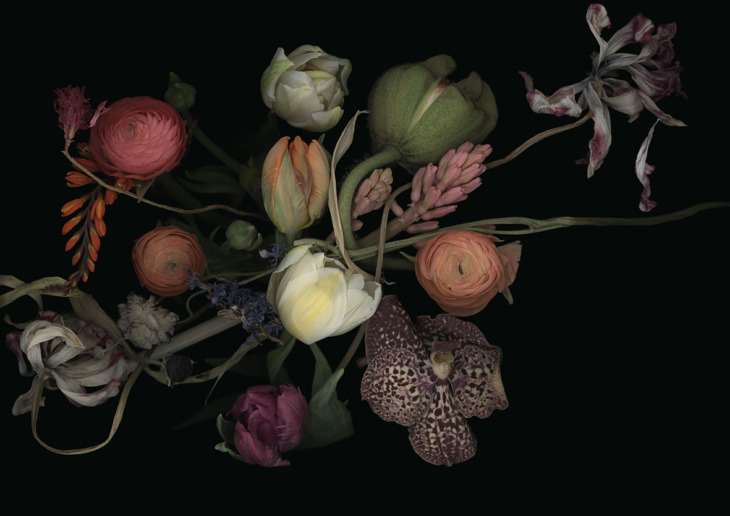 Luzia Simons, Stockage 196, 2022
Pigment Print
100 x 80 cm
Edition of 5 + 1 AP