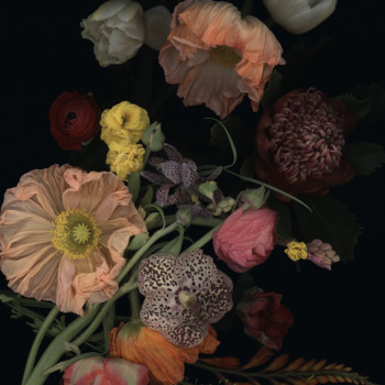 Luzia Simons, Stockage 197, 2022