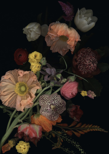 Luzia Simons, Stockage 197, 2022
Pigment Print
100 x 80 cm
Edition of 5 + 1 AP