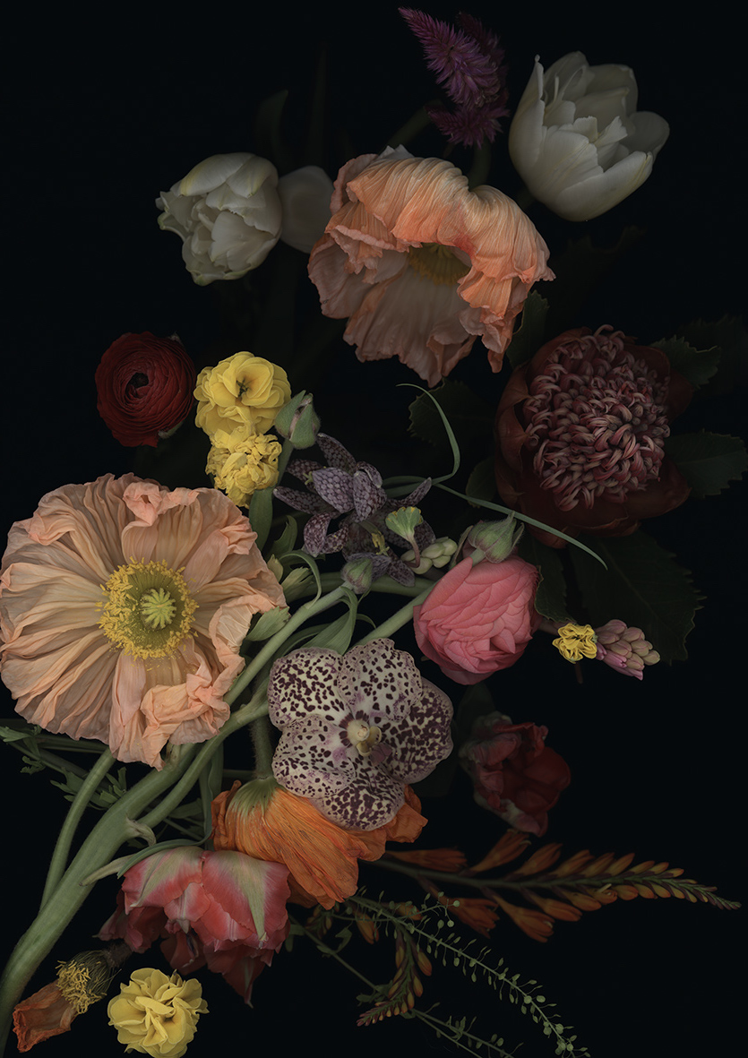 Luzia Simons, Stockage 197, 2022
Pigment Print
100 x 80 cm
Edition of 5 + 1 AP