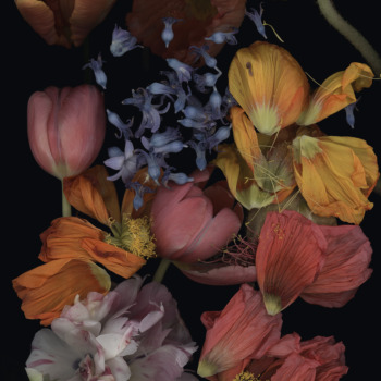 Luzia Simons, Stockage 198, 2022