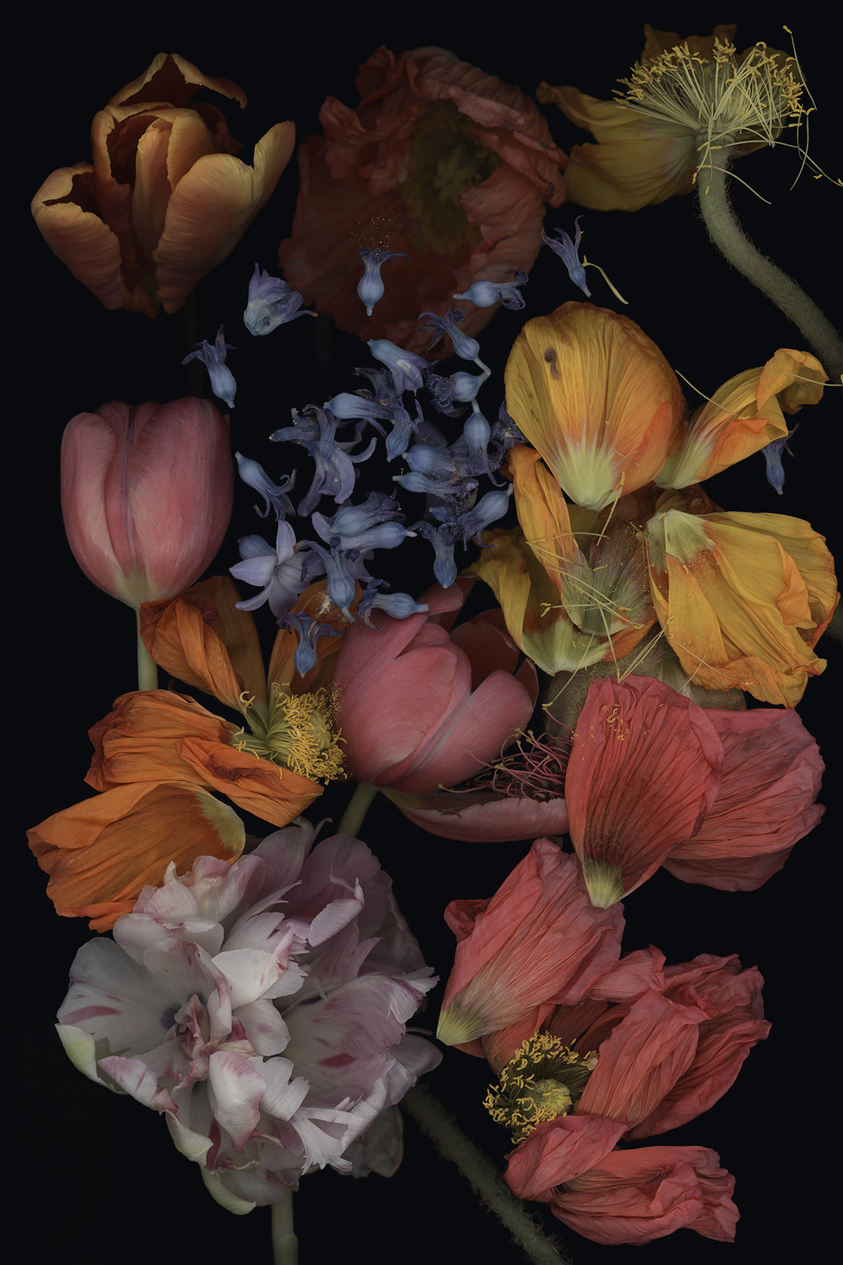 Luzia Simons, Stockage 198, 2022
Lighjet Print on Diasec
45 x 30 cm
Edition of 15 + 1 AP