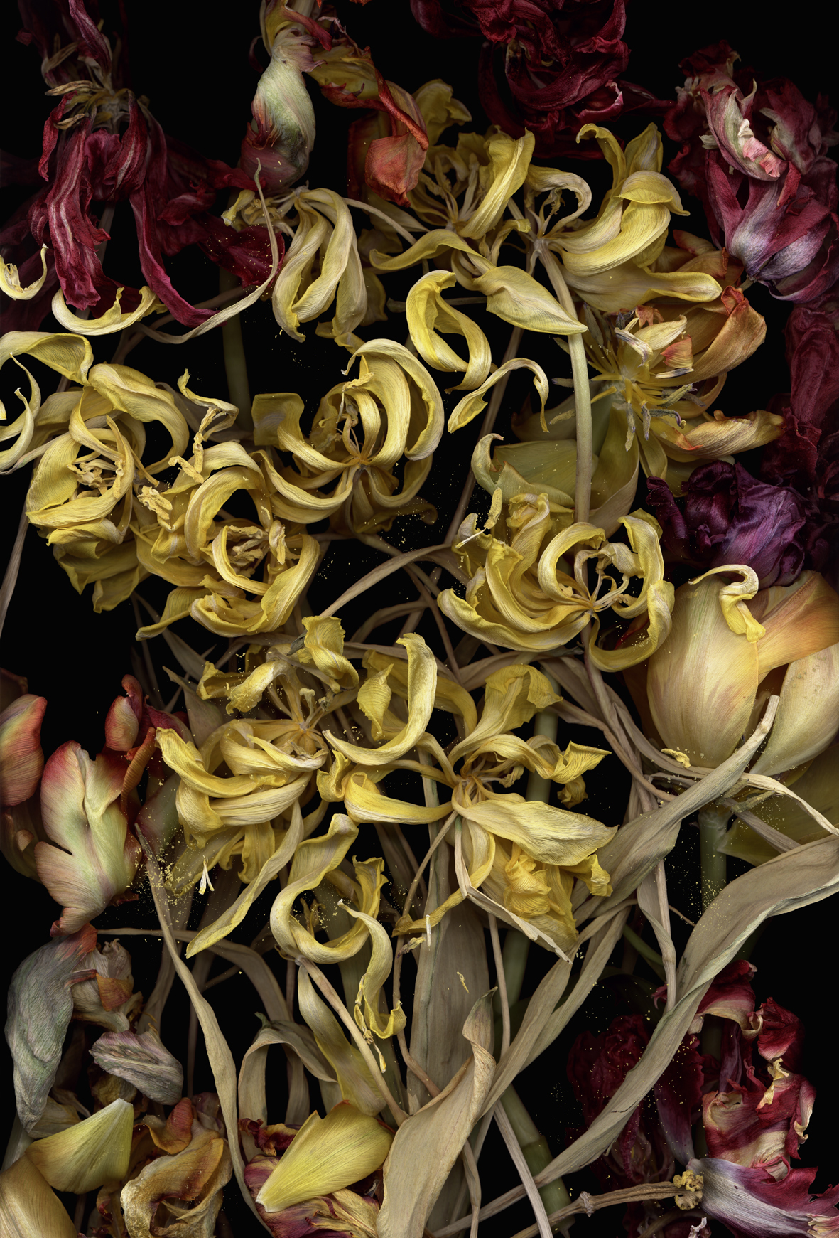 Luzia Simons, Stockage 95, 2011
Lighjet Print on Diasec
140 x 95 cm
Edition of 6 + 1 AP