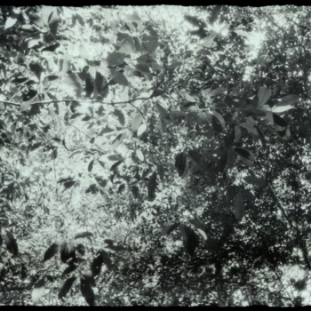 Luzia Simons, Humboldt ist niemals da gewesen (Landschaft 01), 2013