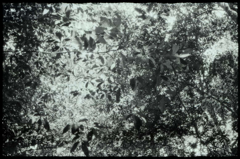 Luzia Simons, Humboldt ist niemals da gewesen (Landschaft 01), 2013
A1A pigment print
58,5 x 86 cm
Edition of 5 + 1 AP