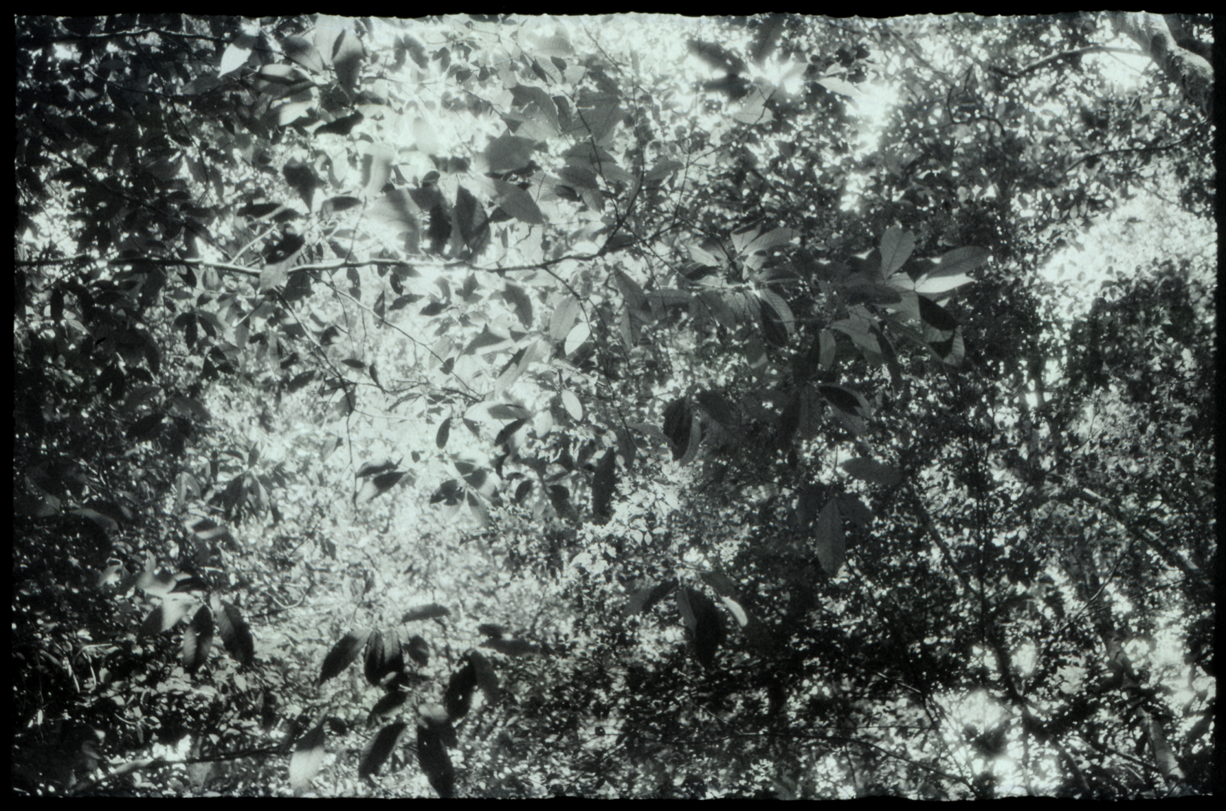 Luzia Simons, Humboldt ist niemals da gewesen (Landschaft 01), 2013
A1A pigment print
58,5 x 86 cm
Edition of 5 + 1 AP