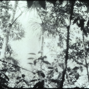 Luzia Simons, Humboldt ist niemals da gewesen (Landschaft 02), 2013