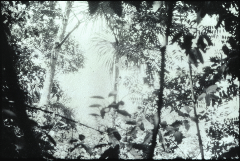 Luzia Simons, Humboldt ist niemals da gewesen (Landschaft 02), 2013
A1A pigment print
58,5 x 86 cm
Edition of 5 + 1 AP