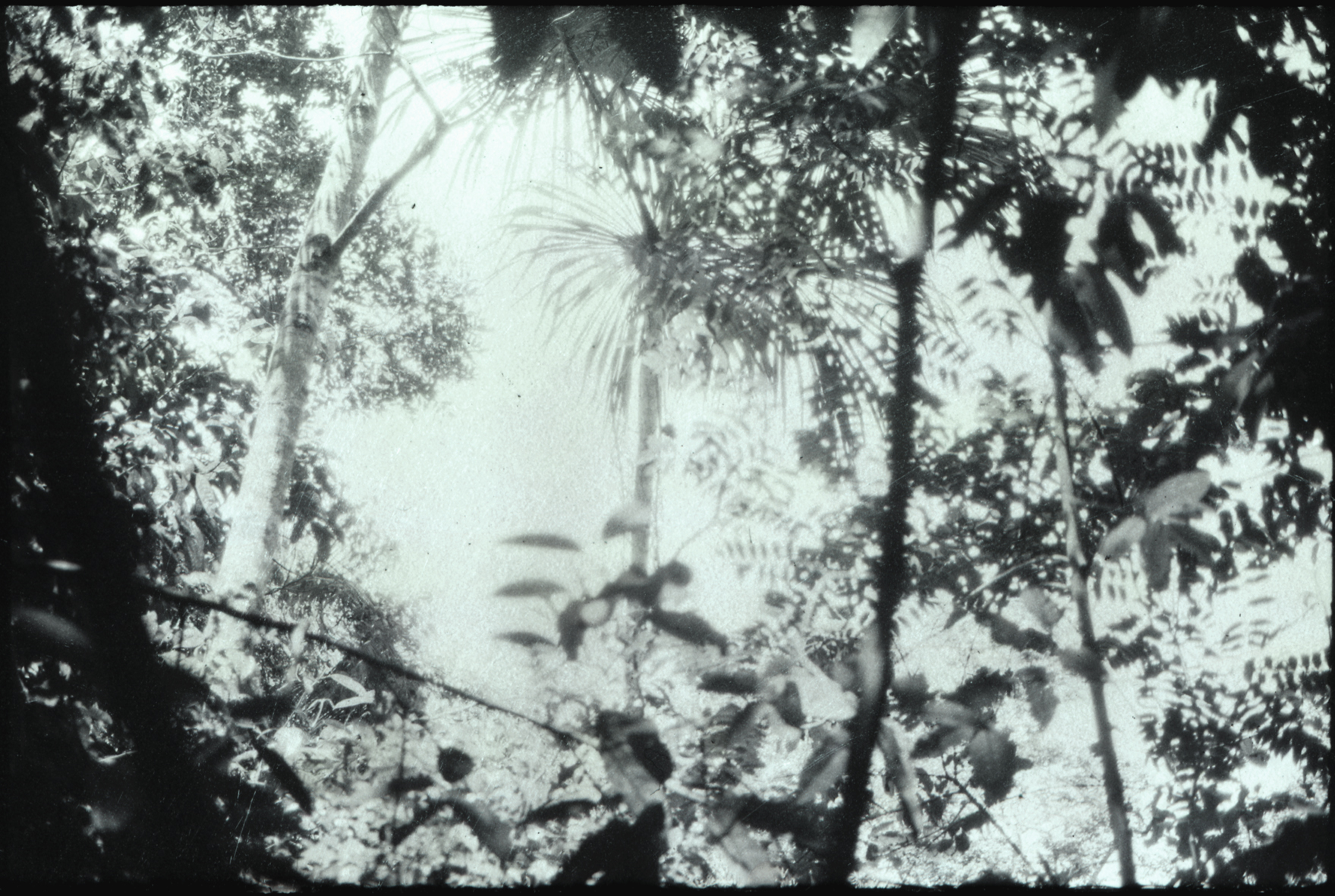 Luzia Simons, Humboldt ist niemals da gewesen (Landschaft 02), 2013
A1A pigment print
58,5 x 86 cm
Edition of 5 + 1 AP