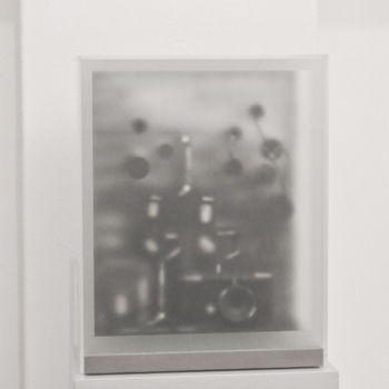Hugo Suter, Malerei (Stillleben), 2010