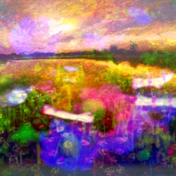 Annelies Štrba, NYIMA 456, 2011