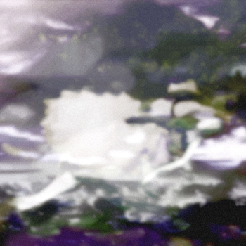 Annelies Strba, NYIMA 507, 2012  