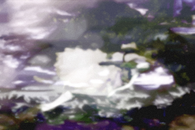Annelies Strba, NYIMA 507, 2012  
Pigmentjet on canvas
35 x 50 cm
Edition of 6