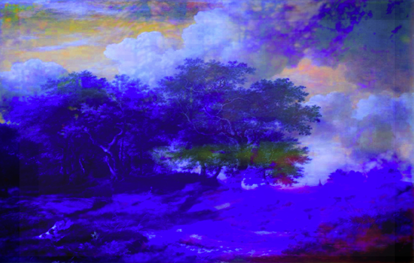 Annelies Strba, NYIMA 509, 2012 
Pigmentjet on canvas
35 x 50 cm
Editions of 6