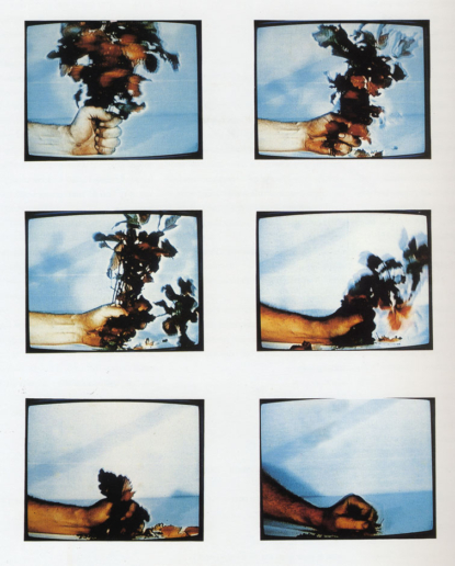 Dennis Oppenehim, Compression Poison Oak, 1970
Photo documentation
60
