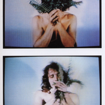 Dennis Oppenehim, Compression Fern (Face), 1970