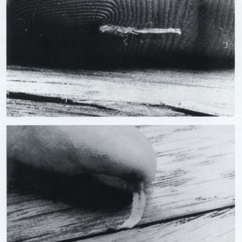 Dennis Oppenehim, Material Interchange, 1970