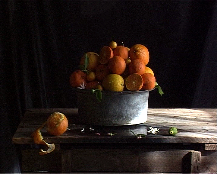 Zitrusfrüchte II, 2013
SD Video, 25 Min
2 LCD, Monitors, framed 
each 62 x 53 cm
Edition of 5 + 2 AP