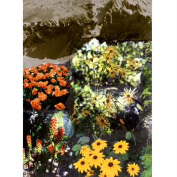 Peter Hutchinson, Italium Arum II, 1996