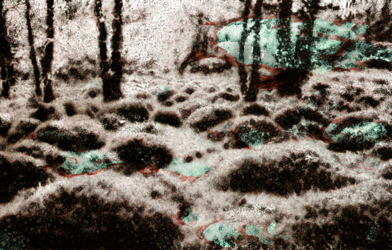 Michel Huelin, Recovery Landscape 1, 2015
Lambda Print
67 x 105 cm