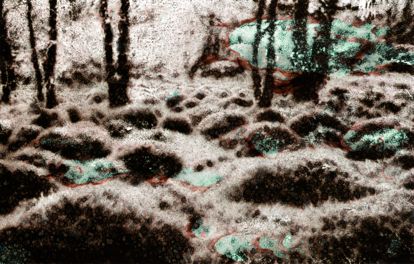 Michel Huelin, Recovery Landscape 1, 2015
Lambda Print
67 x 105 cm