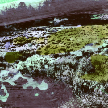 Michel Huelin, Recovery Landscape 10, 2015
