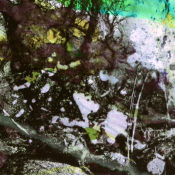 Michel Huelin, Recovery Landscape 25, 2015