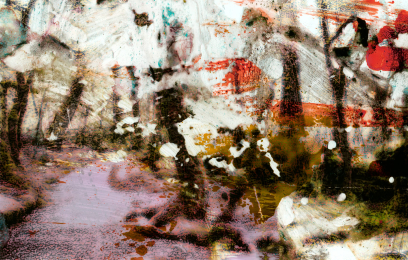 Michel Huelin, Recovery Landscape 41, 2015
Lambda Print
67 x 105 cm