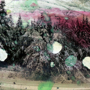 Michel Huelin, Recovery Landscape 5, 2015
