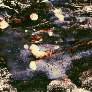 Michel Huelin, Recovery Landscape 52, 2015