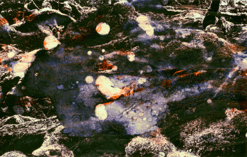Michel Huelin, Recovery Landscape 52, 2015
Lambda Print
67 x 105 cm