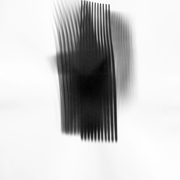 Roger Humbert, Untitled (Photogram #34), 2002