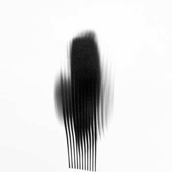Roger Humbert, Untitled (Photogram #37), 2002