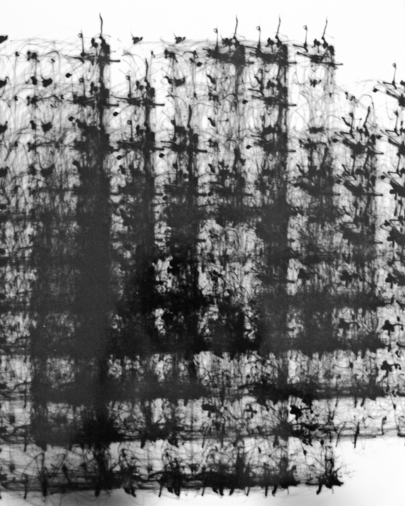 Roger Humbert, Untitled (Photogram #28), 1970
Photogram on Baryta paper
30,5 x 24 cm
Unique