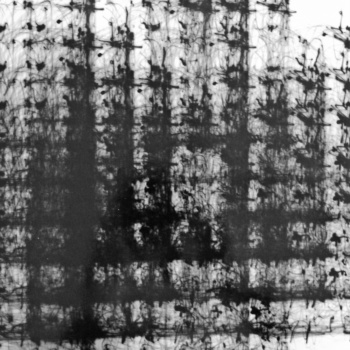 Roger Humbert, Untitled (Photogram #27), 1970