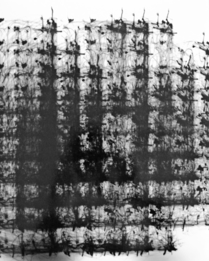Roger Humbert, Untitled (Photogram #27), 1970
Photogram on Baryta Paper
30,5 x 24 cm
Unique