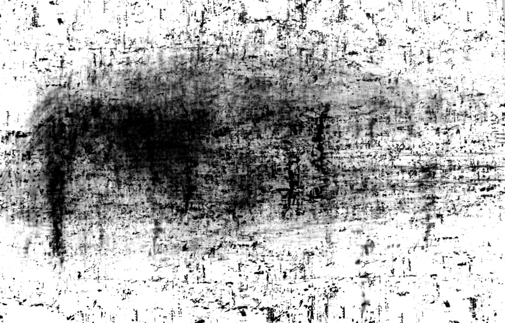 Roger Humbert
Untitled (Photogram #29), 1973
Photogram on Baryta paper 
41 x 59,5
Signed and dated by photographer verso
Unique 
