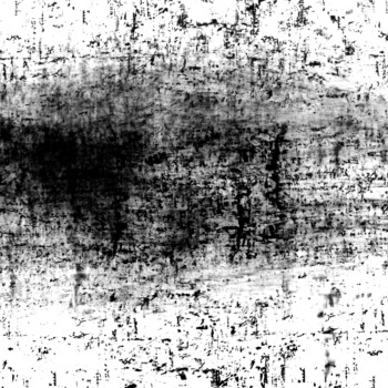 Roger Humbert, Untitled (Photogram #29), 1973